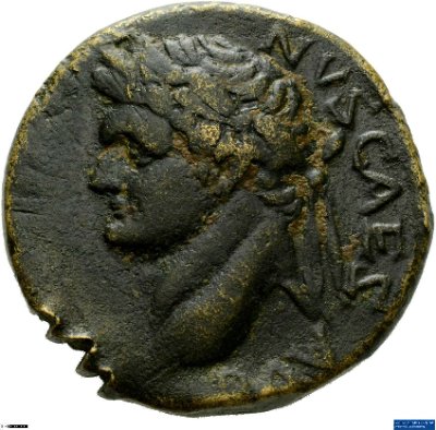 Syria: Domitianus81-83 n. Chr.Antike HerrscherprägungDomitianus (51-96 n. Chr.)