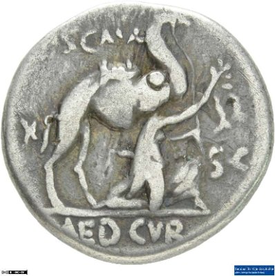 Denar (ANT), Römische Republik: M. Aemilius Scaurus58 v. Chr.Stadt