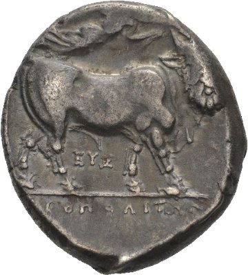 Neapolis,                            Didrachmon, 325-241 v.Chr.