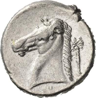 Siculo-Punier,                            Tetradrachmon, 350 - 300 v.Chr.